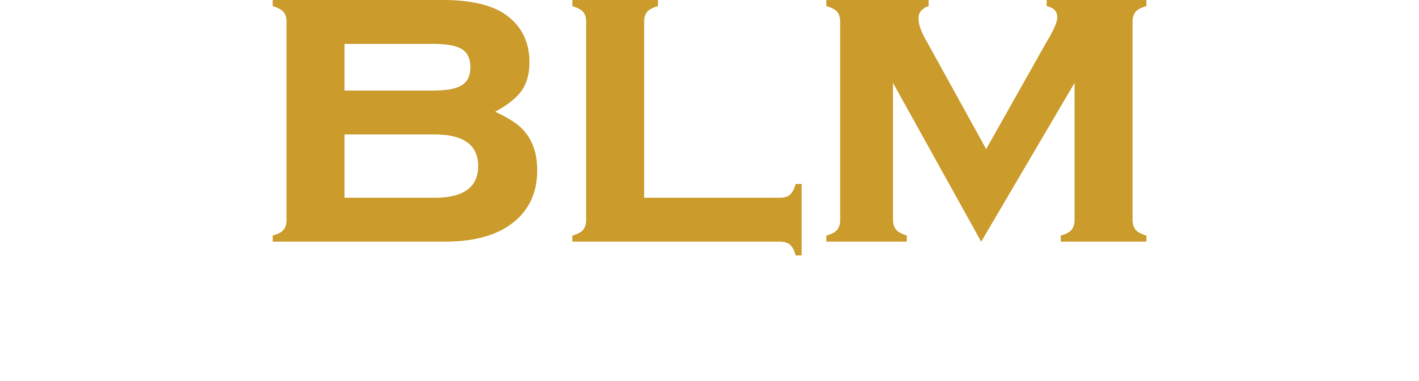 Black Label Multimedia Logo